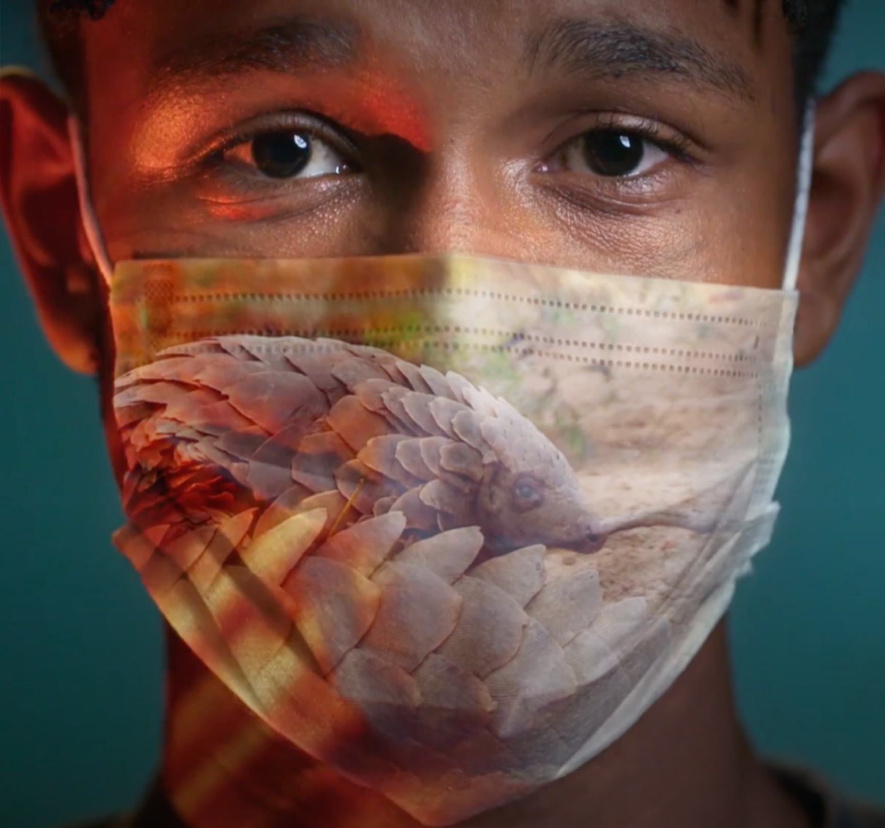 Man with a surgical mask that has the image of a pangolin on it